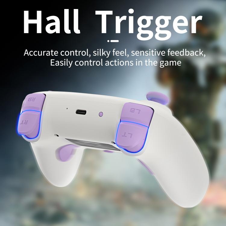 ANBERNIC RGP01 Multi-Platform Gaming Controller for PC/Switch/Steam With Hall Effect Joystick & Triggers, 3-Mode Connectivity, RGB, White, Black, Purple, With Receiver White, With Receiver Black, With Receiver Purple