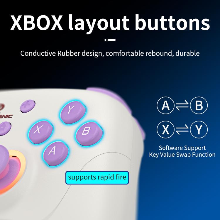 ANBERNIC RGP01 Multi-Platform Gaming Controller for PC/Switch/Steam With Hall Effect Joystick & Triggers, 3-Mode Connectivity, RGB, White, Black, Purple, With Receiver White, With Receiver Black, With Receiver Purple