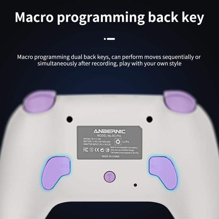 ANBERNIC RGP01 Multi-Platform Gaming Controller for PC/Switch/Steam With Hall Effect Joystick & Triggers, 3-Mode Connectivity, RGB, White, Black, Purple, With Receiver White, With Receiver Black, With Receiver Purple