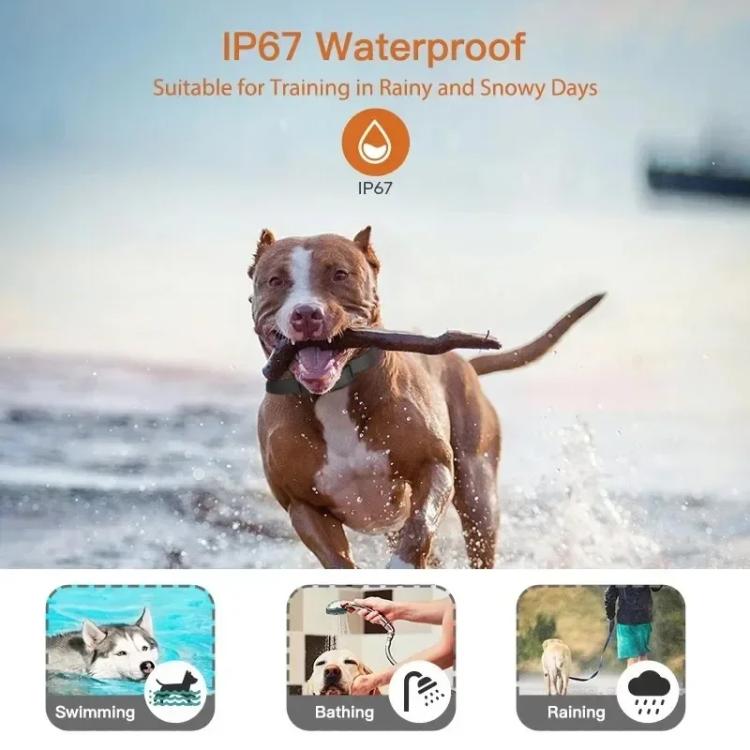 T740 Rechargeable Remote Dog Training Collar IP67 Waterproof  Pet Trainer, T740