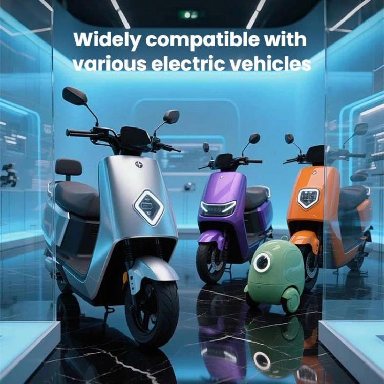 Kewig DC-1 48V-120V To 12V DC Converter For Electric Vehicles