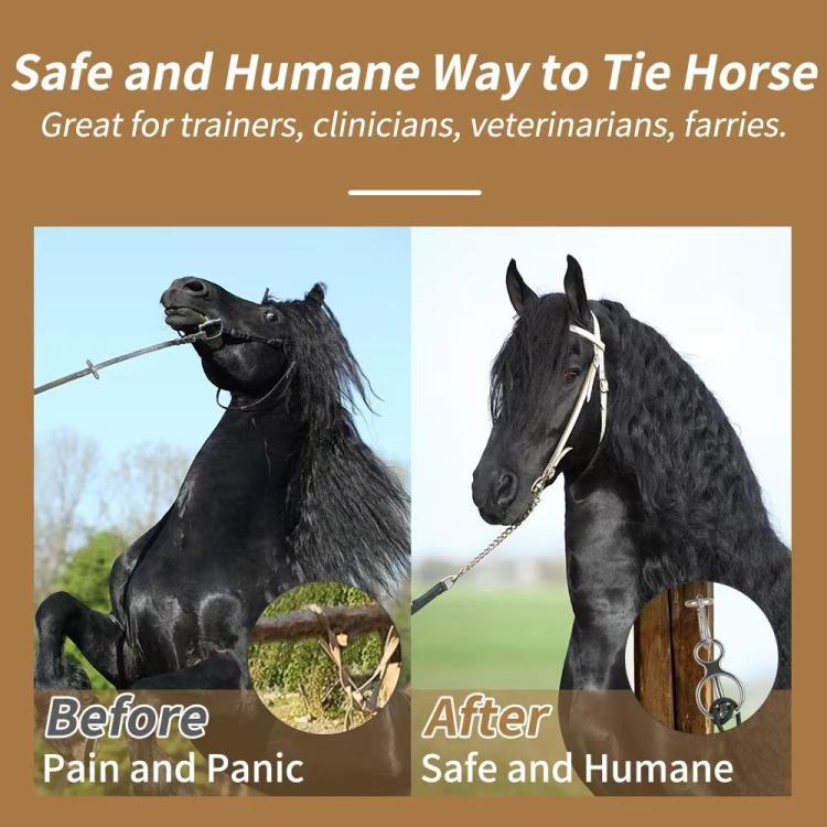 3pcs /Set Safety Rope Buckles Equestrian Barn Stainless Steel Horse Tether Buckles