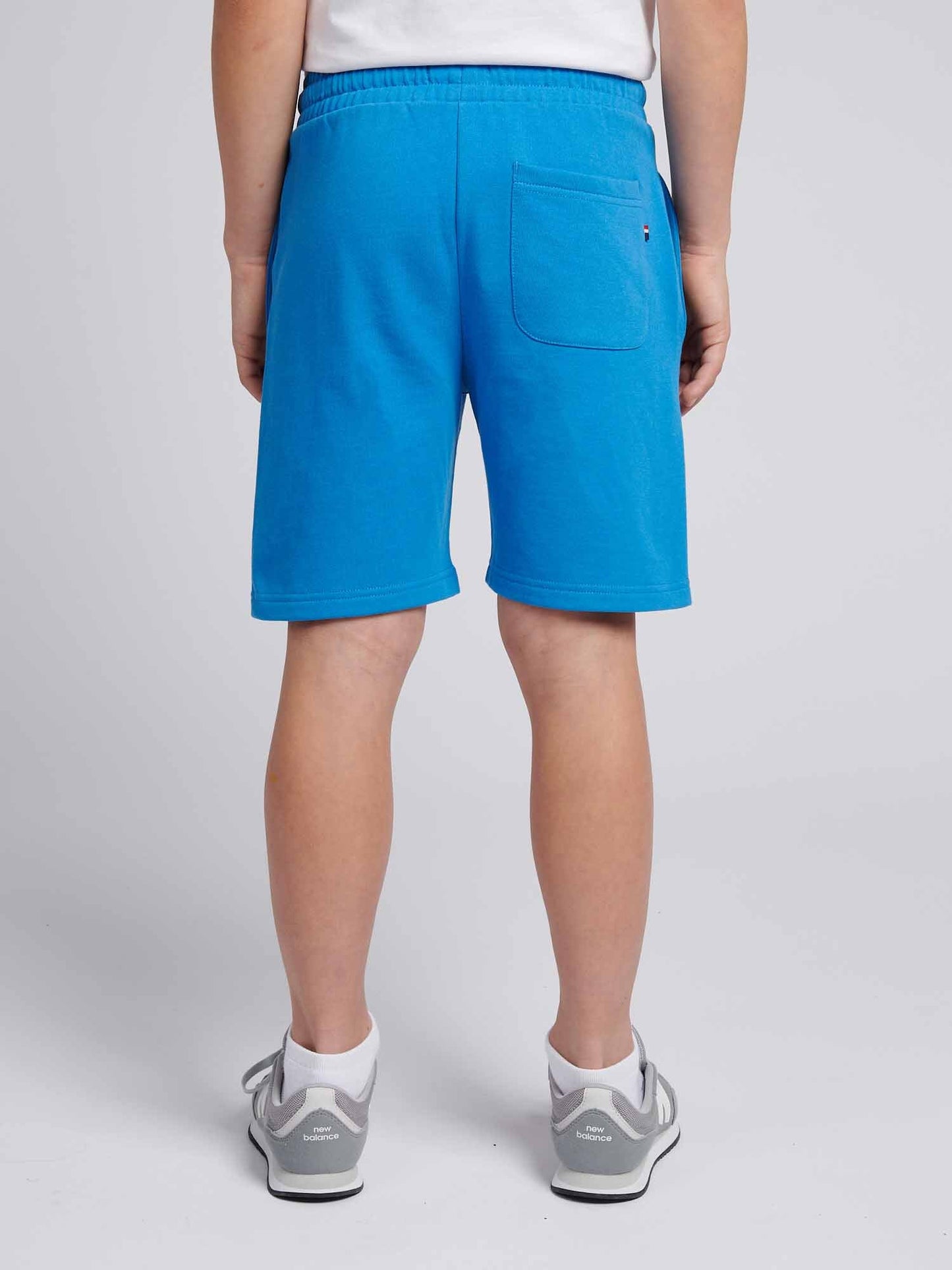 Boys Player 3 Sweat Short in Campanula