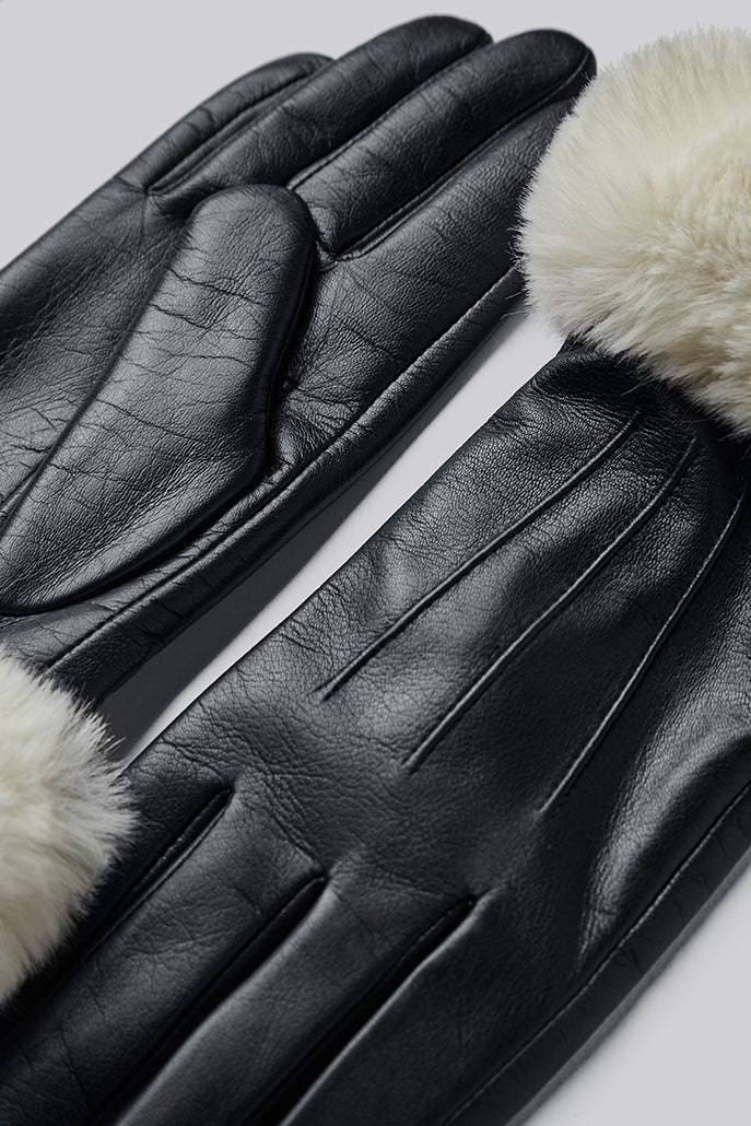 Vanian Glove
