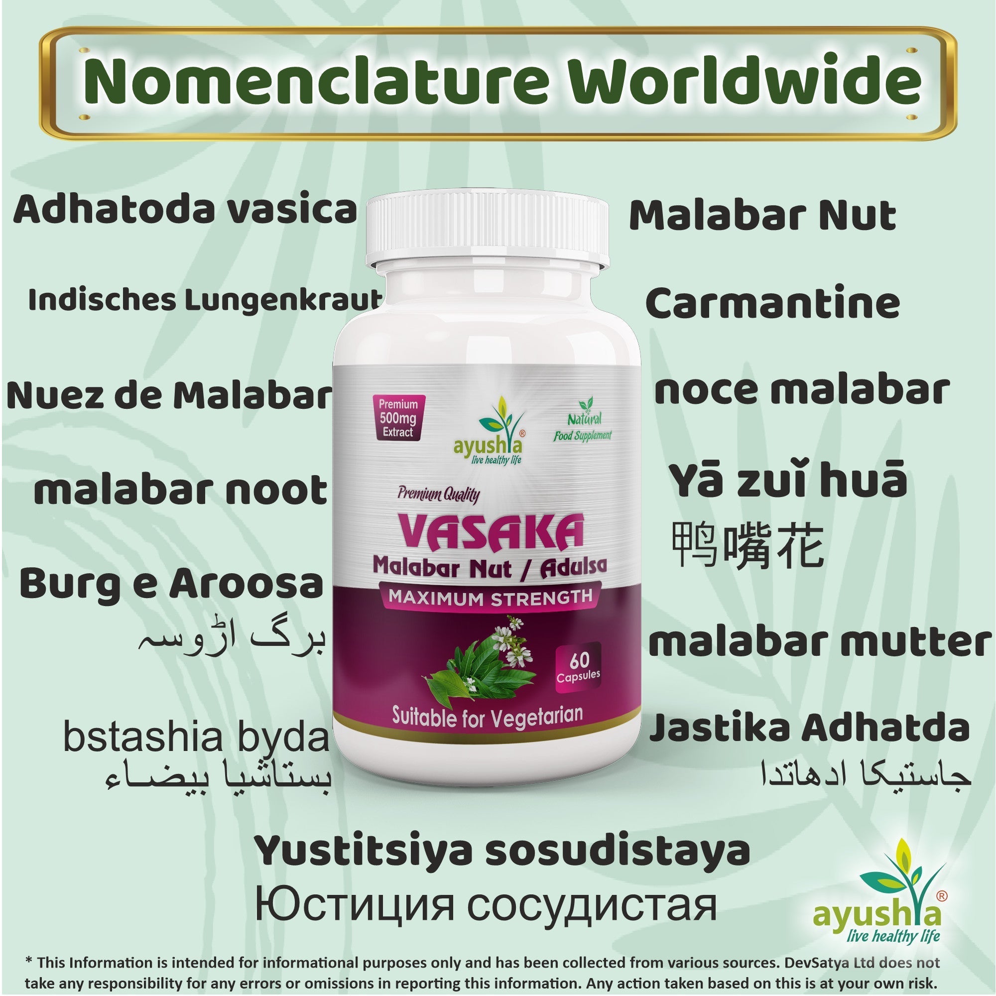 Ayushya Vasaka Capsules (Malabar Nut, Adulsa) Respiratory Comfort Support - Vegan, Gluten Free, Non-GMO, 60 Capsules
