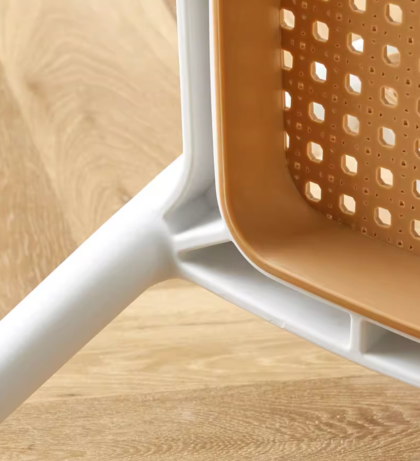 Fanny Dining Chair