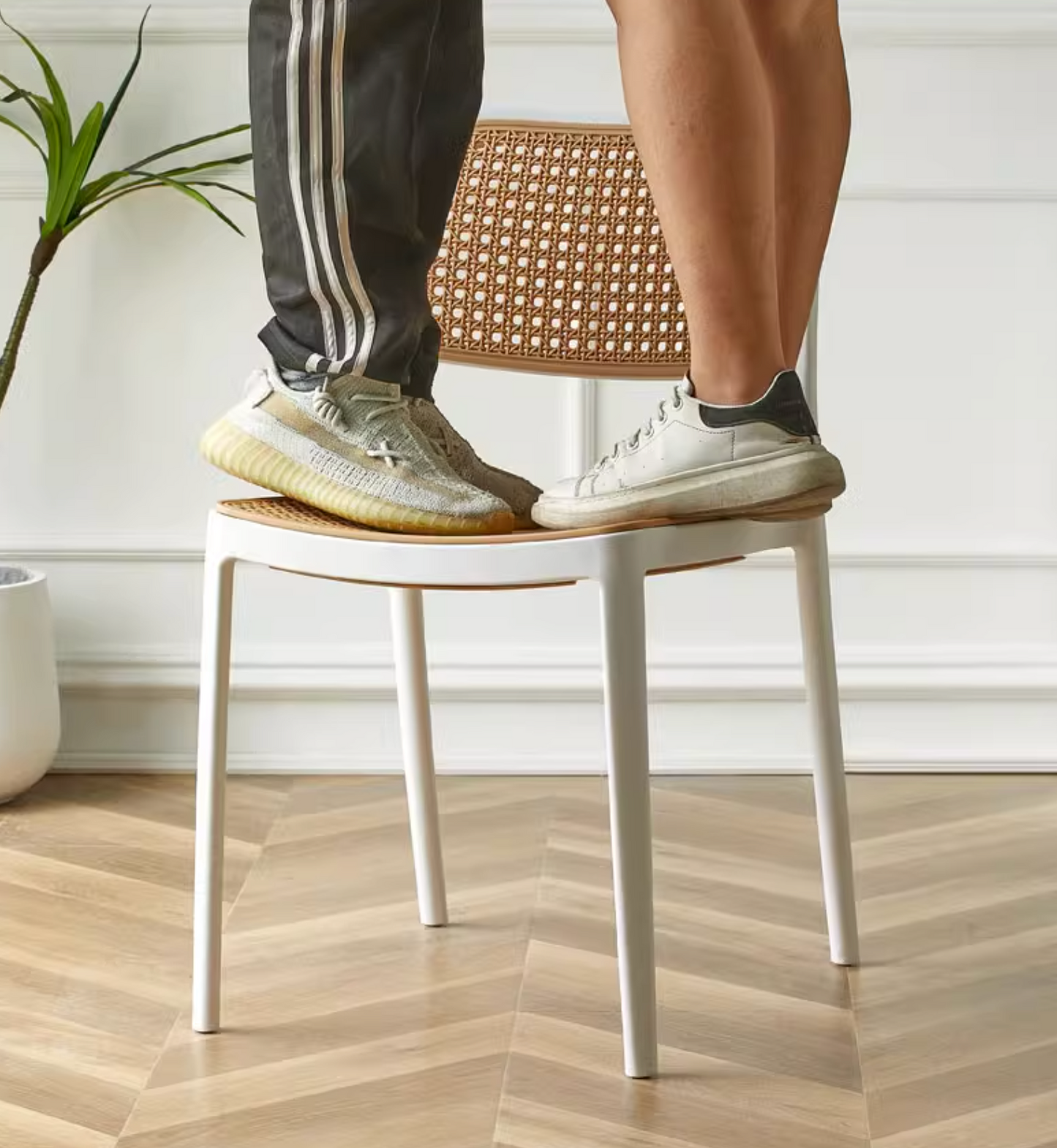 Fanny Dining Chair