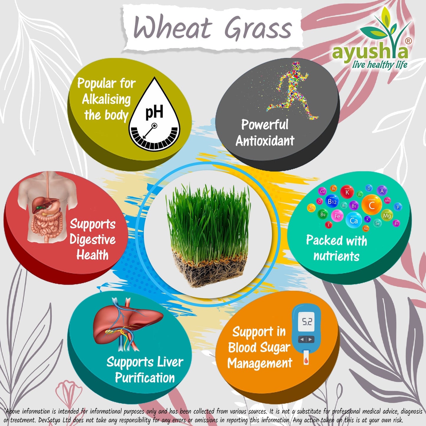 Ayushya Wheat Grass Capsules (Wheatgrass) Daily Greens & Antioxidant Support - Vegan, Gluten Free, Non-GMO, 60 Capsules
