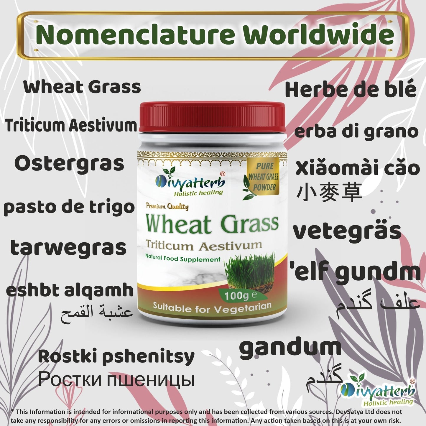 DivyaHerb Wheat Grass Powder 100 gram - Daily Vitality Support