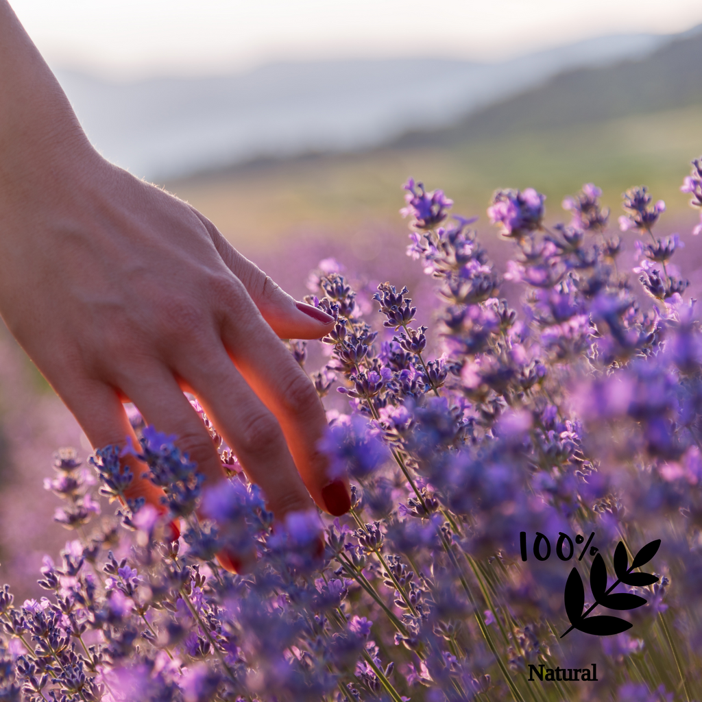 Healing Hand Lotion - Soothes and Nourishes Hands *Lavender or Rose*