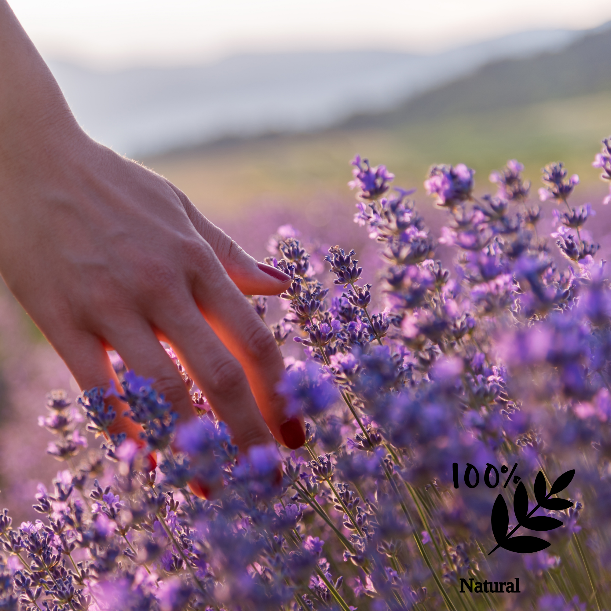 Healing Hand Lotion - Soothes and Nourishes Hands *Lavender or Rose*