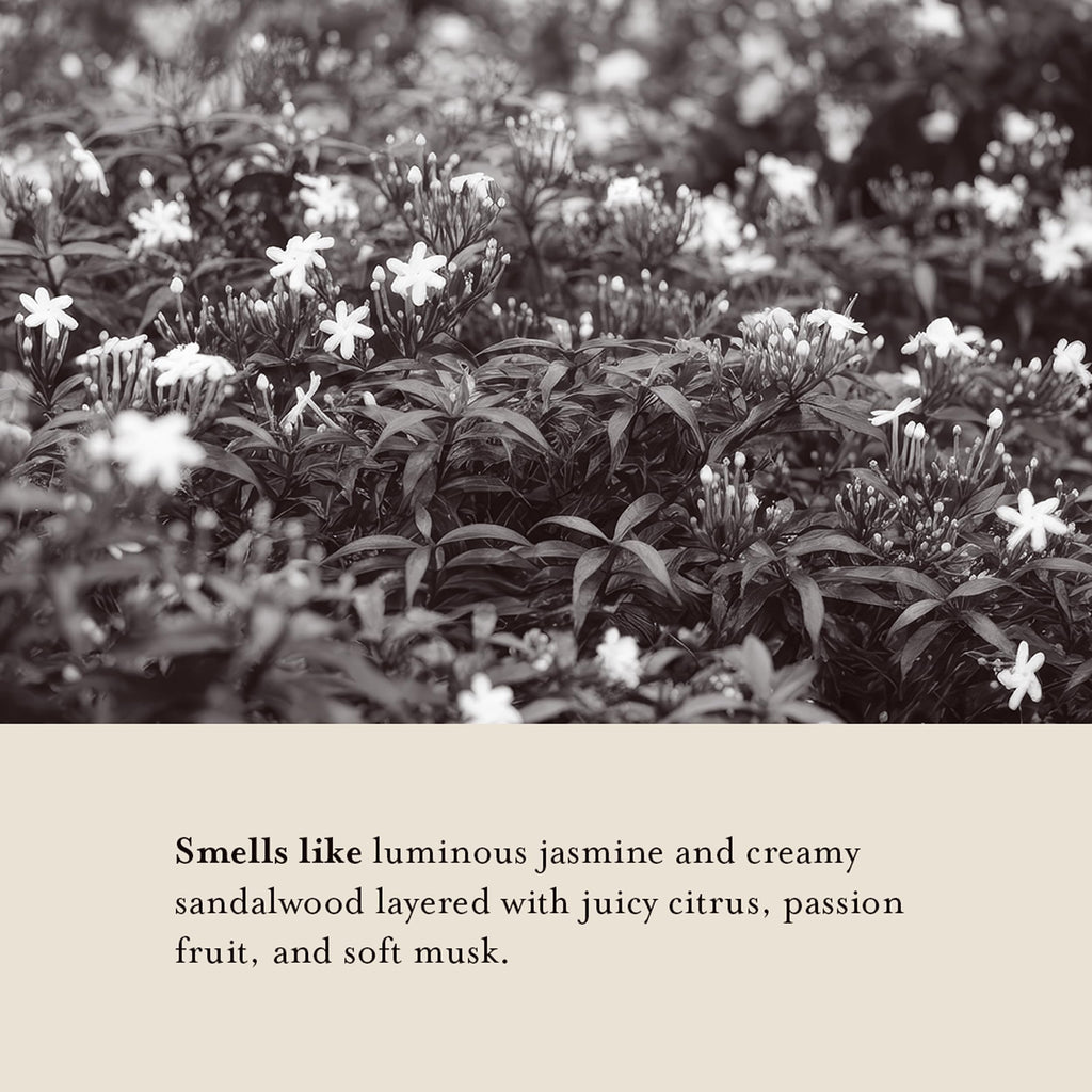 A LA MAISON Cleansing Shower Oil – Jasmine & Santal | Hydrating Oil-to-Lather