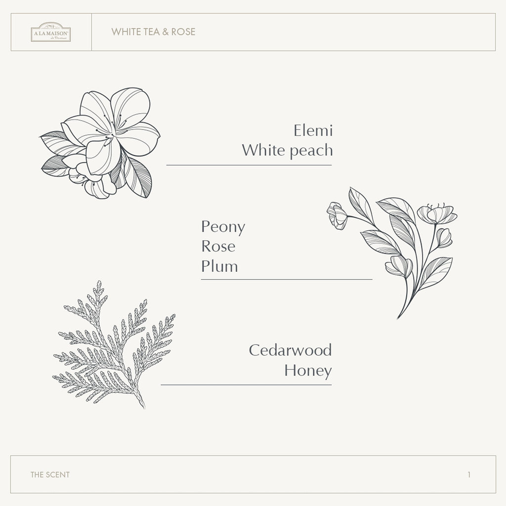 A LA MAISON Cleansing Shower Oil – White Tea & Rose | Hydrating, Oil-to-Lather Cleanser