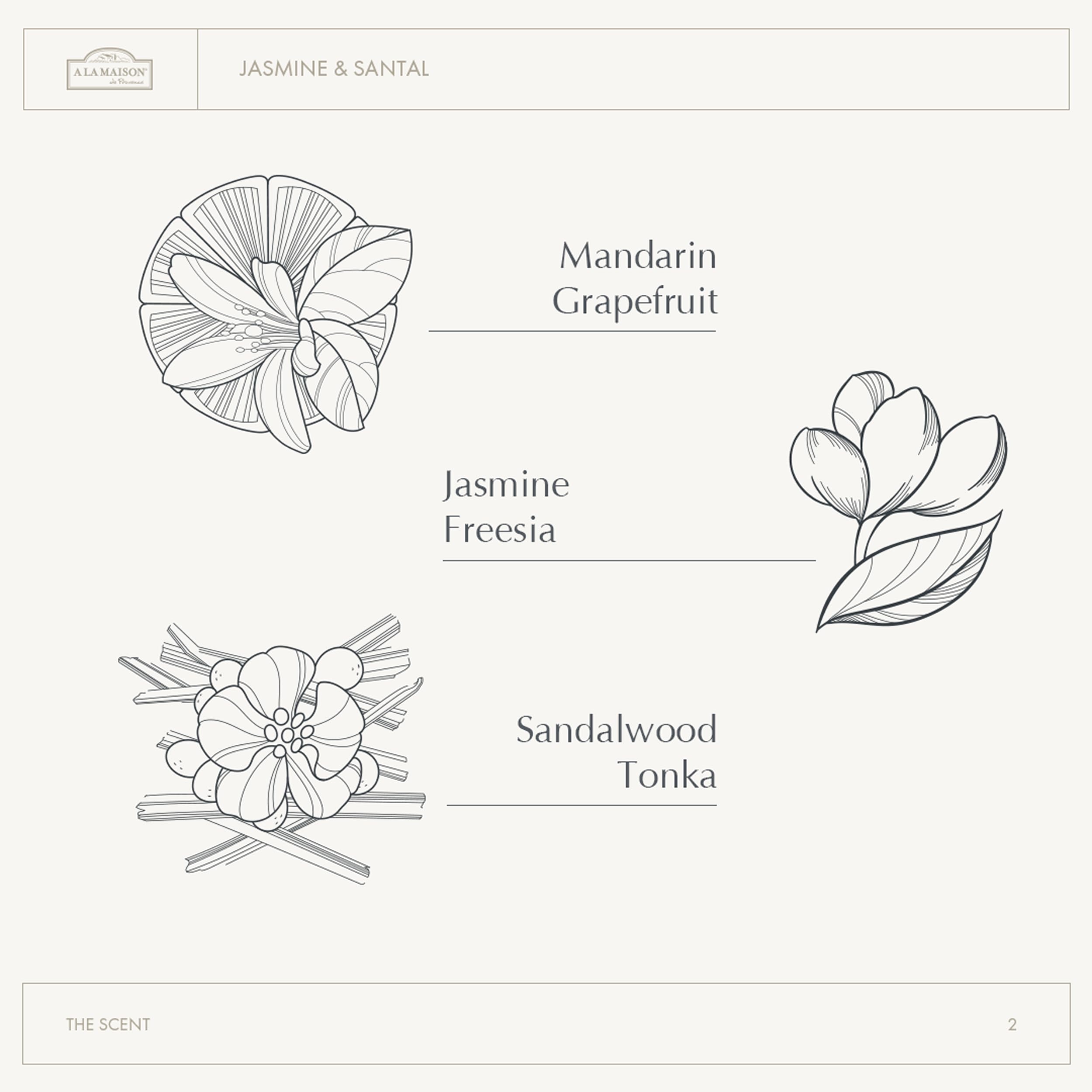 A LA MAISON Cleansing Shower Oil – Jasmine & Santal | Hydrating Oil-to-Lather
