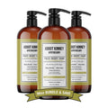 ABBOT KINNEY APOTHECARY Men's 3-in-1 Wash: Shampoo, Conditioner & Body Wash in Energizing Citrus – 32 oz (3 Pack)