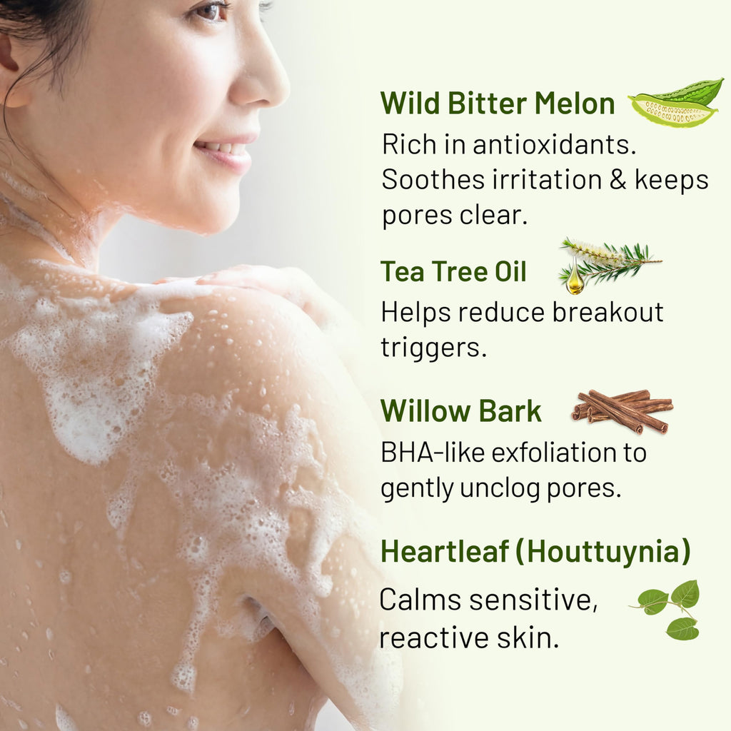 ABERA Folliculitis Body Wash with Wild Bitter Melon & Tea Tree – 10.14 oz