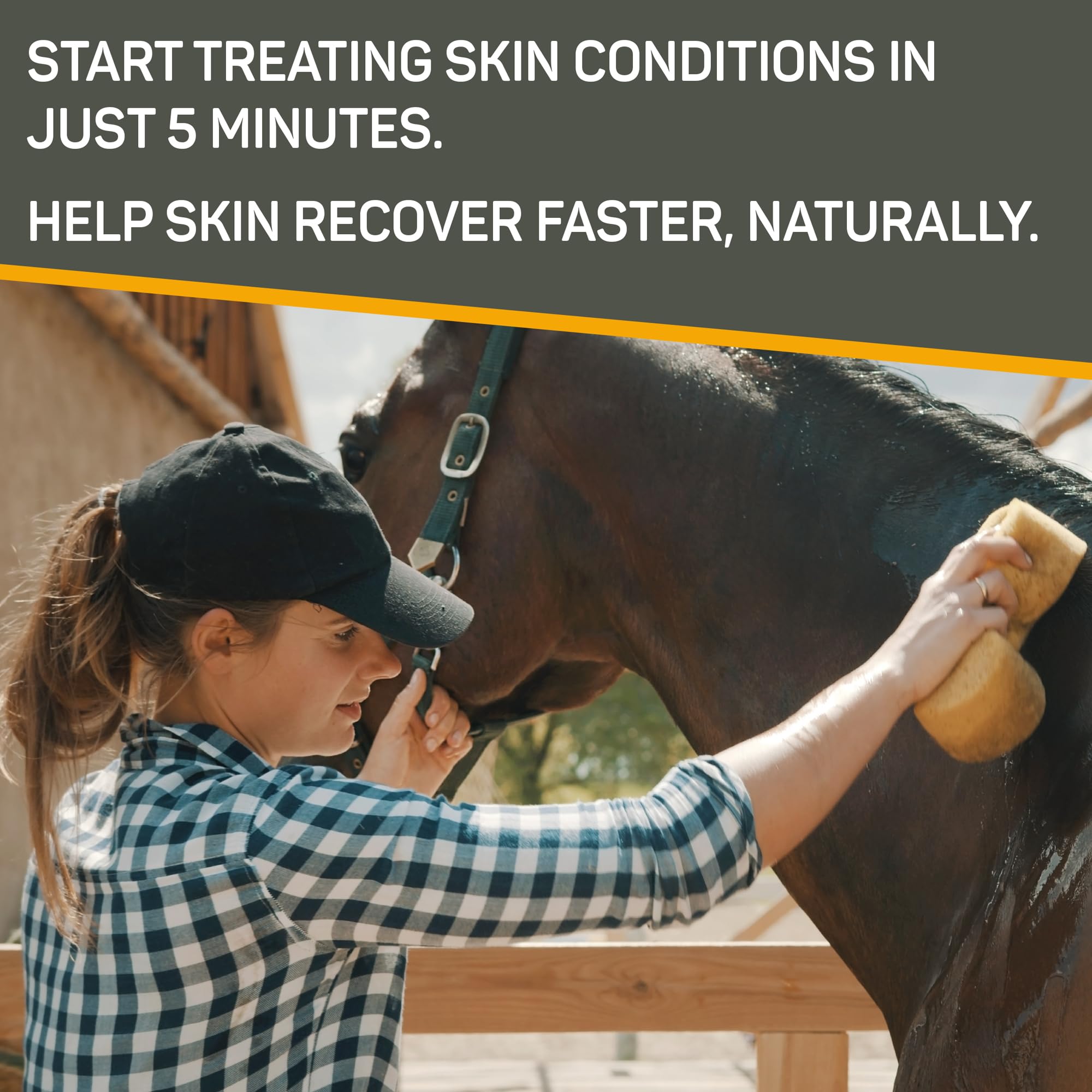 Absorbine Silver Honey Rapid Skin Relief Medicated Shampoo – Vet-Developed, Manuka Honey & MicroSilver BG, 16 fl oz