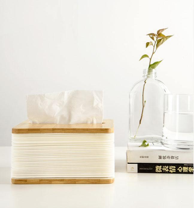 Accordion Tissue Box
