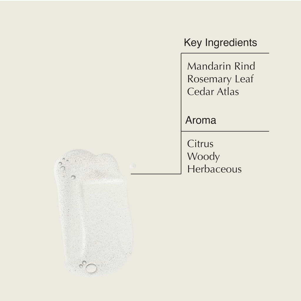 Aesop Resurrection Aromatique Hand Soap & Geranium Leaf Body Cleanser – Paraben, Cruelty-Free & Vegan, 16.9 oz