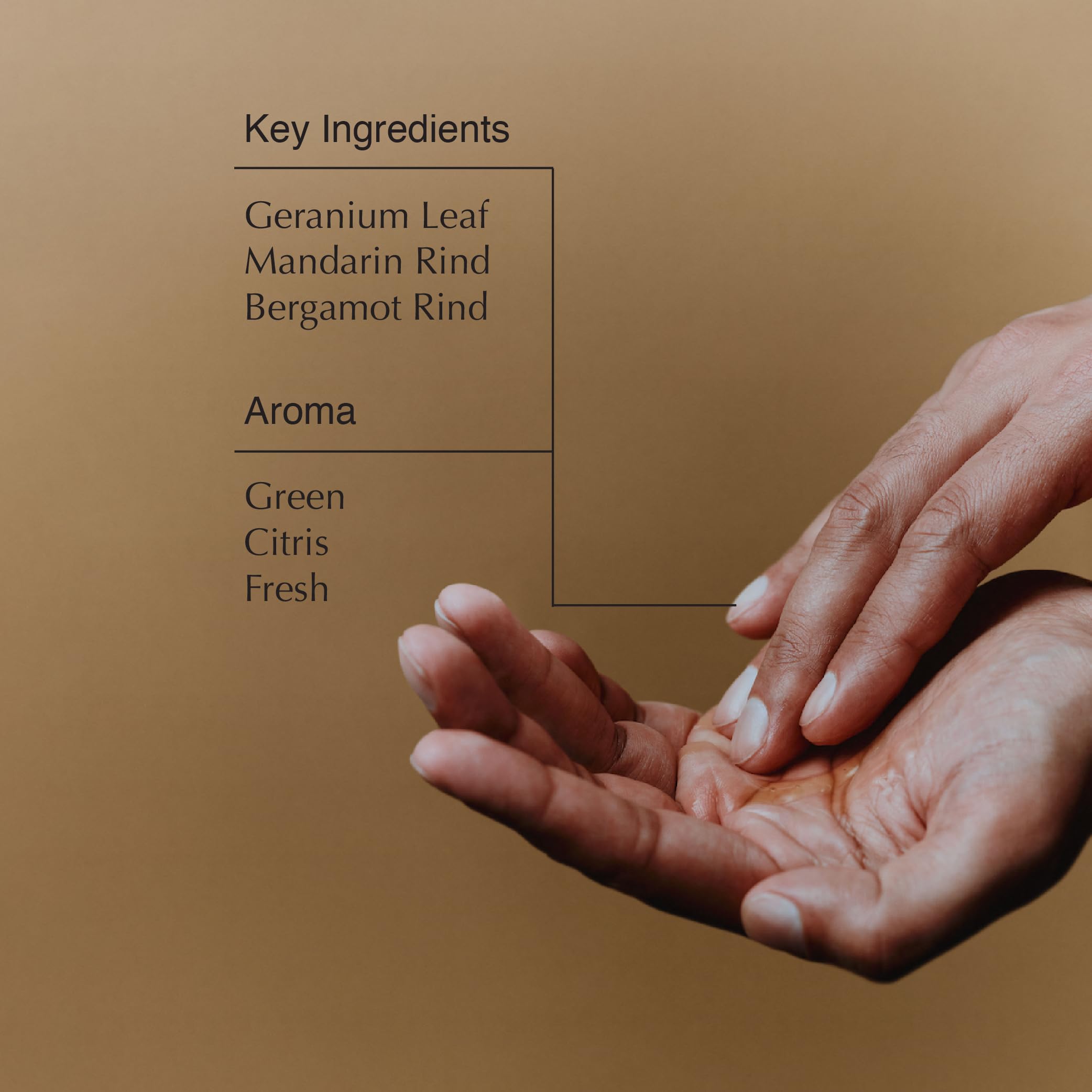 Aesop Geranium Leaf Body Cleanser + Refill | Invigorating Cleansing Gel, 16.9 oz Pack of 2