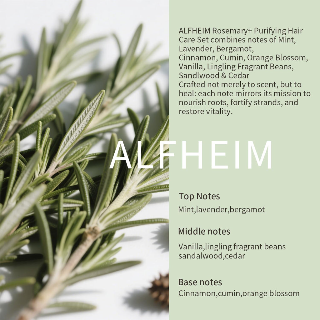 Alfheim Rosemary+ Purifying Hair Care Gift Set | Shampoo, Conditioner, Hair Mask, Leave-In & Hair Oil