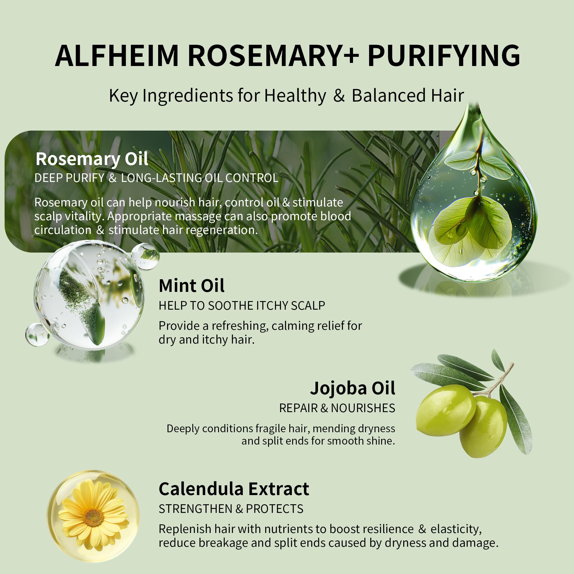Alfheim Rosemary+ Purifying Hair Care Gift Set | Shampoo, Conditioner, Hair Mask, Leave-In & Hair Oil