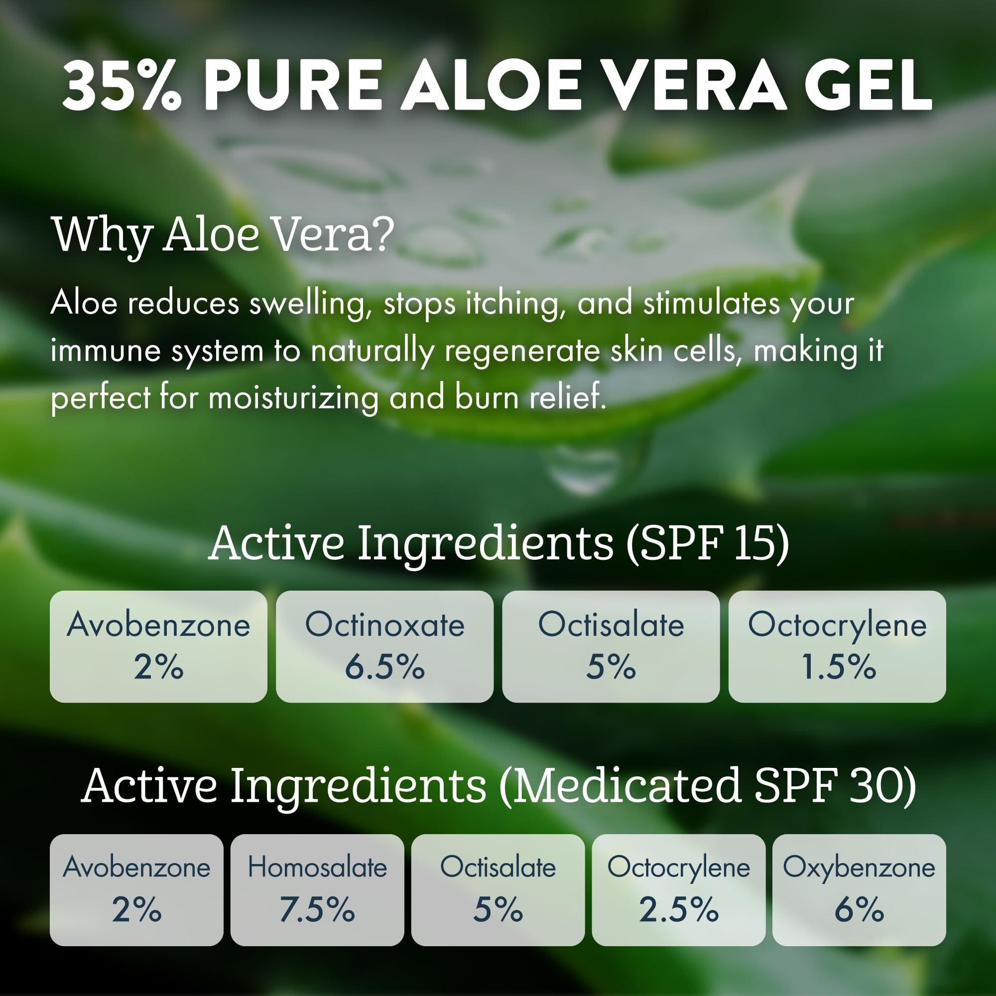 Aloe Up Lip Ice 5-Pack – SPF 15 & SPF 30 Medicated Balms | Alcohol-Free Hydration