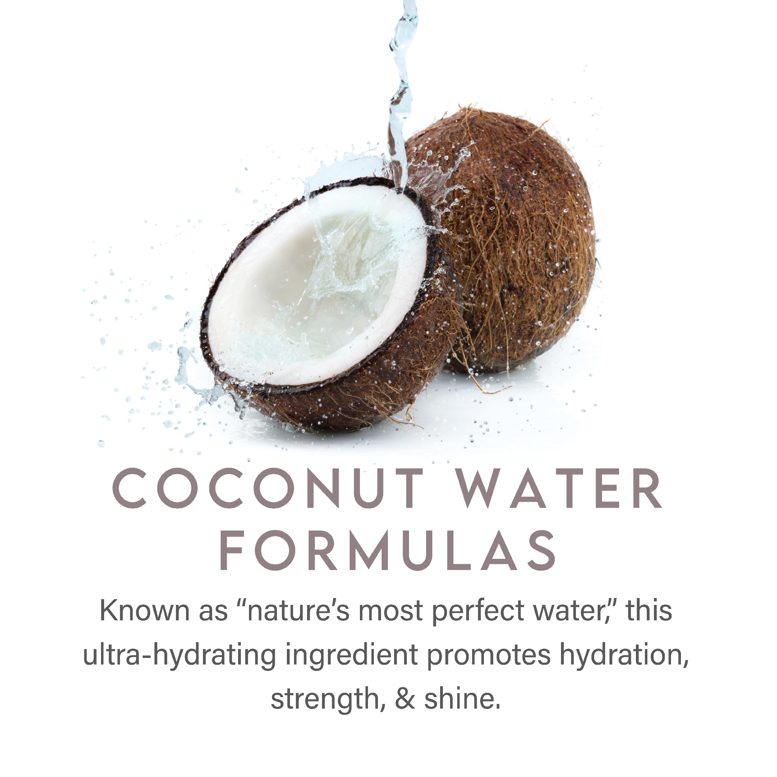 ALURAM Coconut Water Moisturizing Shampoo – Hydration for Medium to Coarse Hair | 33.8 fl oz