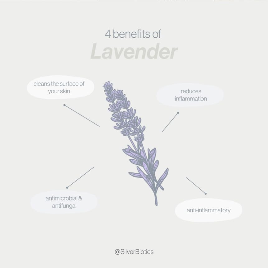 American Biotech Labs Silver Biotics Nano Silver Healing Lotion Cream — Lavender, Hyaluronic Acid (3.4 oz)