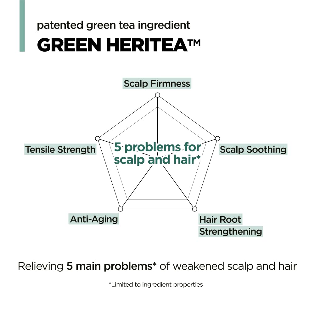 AMOS PROFESSIONAL Green Tea Shampoo for Thinning Hair — Moisturizing Korean Shampoo for Dry Scalp & Volume