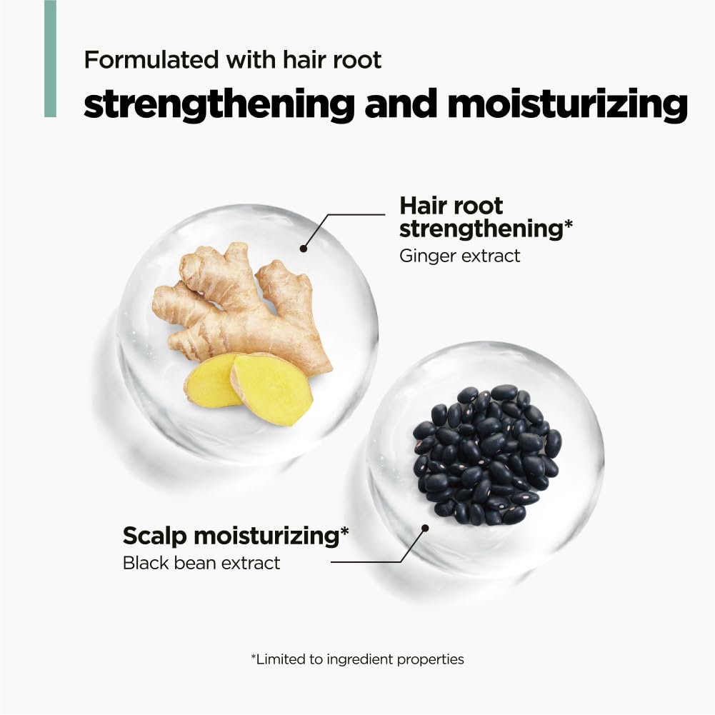 AMOS PROFESSIONAL Green Tea Shampoo for Thinning Hair — Moisturizing Korean Shampoo for Dry Scalp & Volume