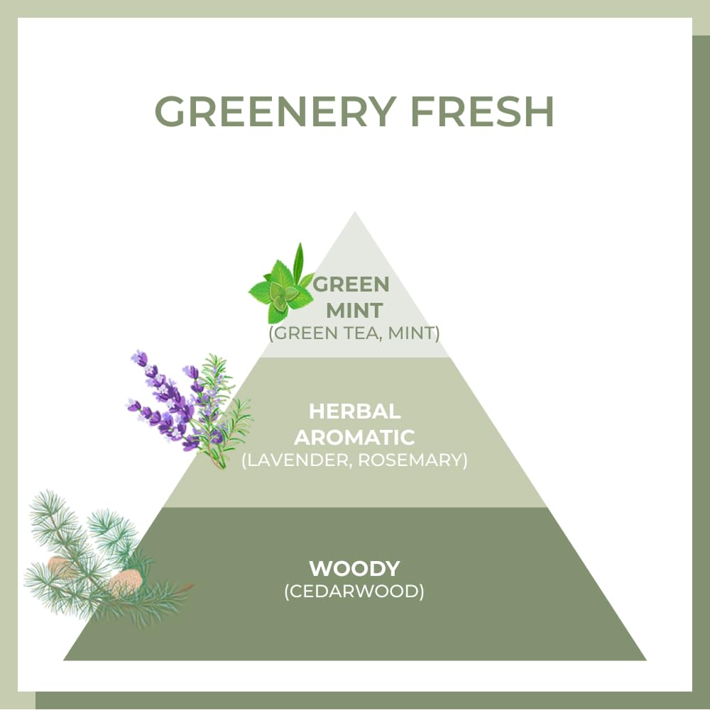 AMOS PROFESSIONAL Korean Green Tea Nourishing Hair Mask 8.45 oz | Deep Conditioning for Moisture