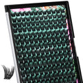 AMZGIRL LASH Lash Clusters Wet Look – 168 Pcs, Ultra-Thin Band, 10–18mm C-Mix