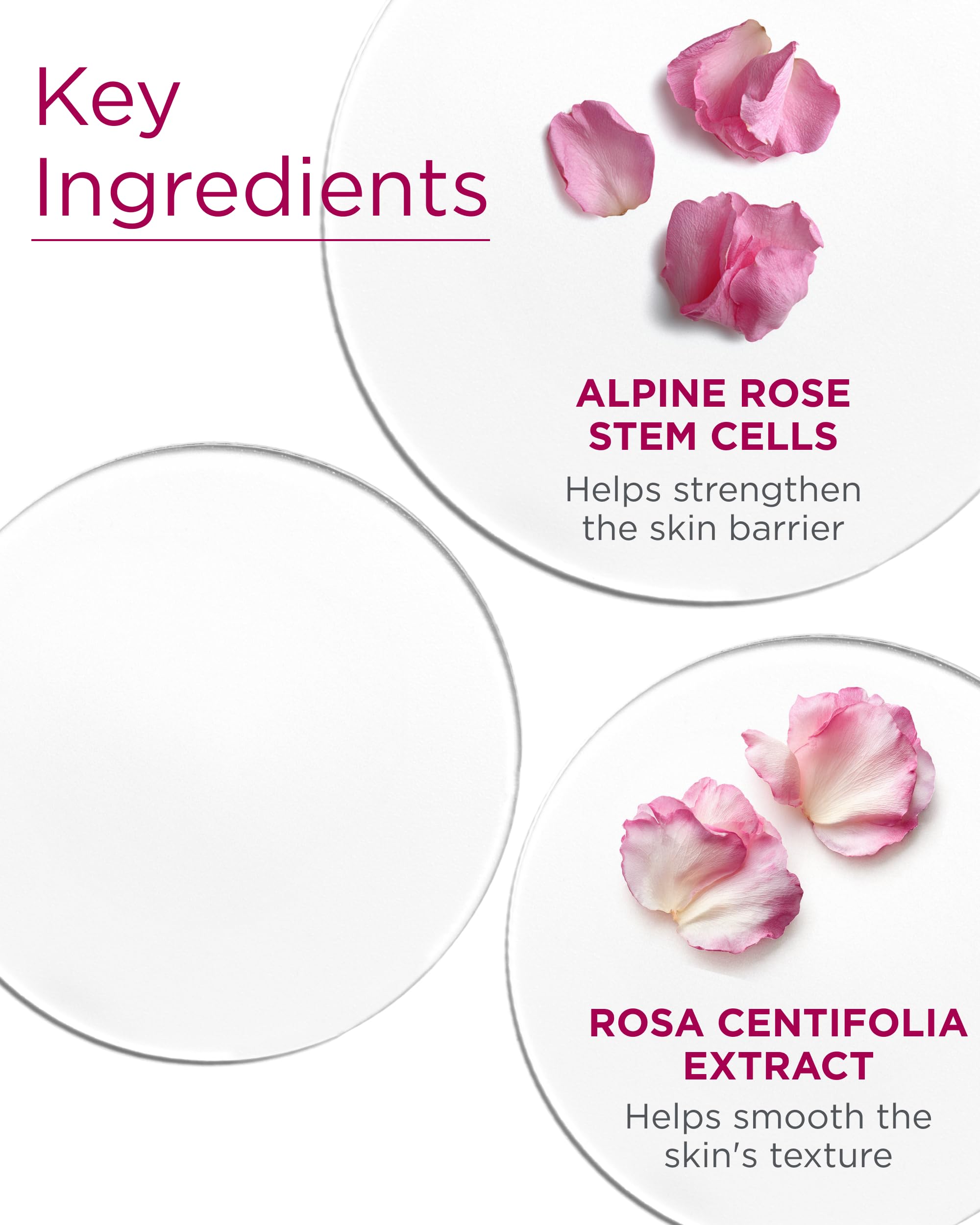 Andalou Naturals 1000 Roses Biome Balancing Day Cream — Lightweight Hydration for Sensitive Skin