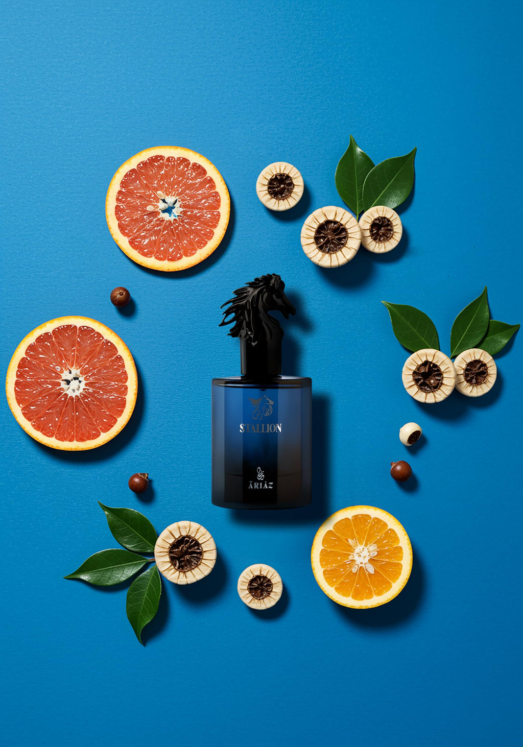 ARIAZ Stallion Men EDP 3.4 oz – Citrus Woody Fragrance with Grapefruit, Ambrox, Woodsy Notes, Musk