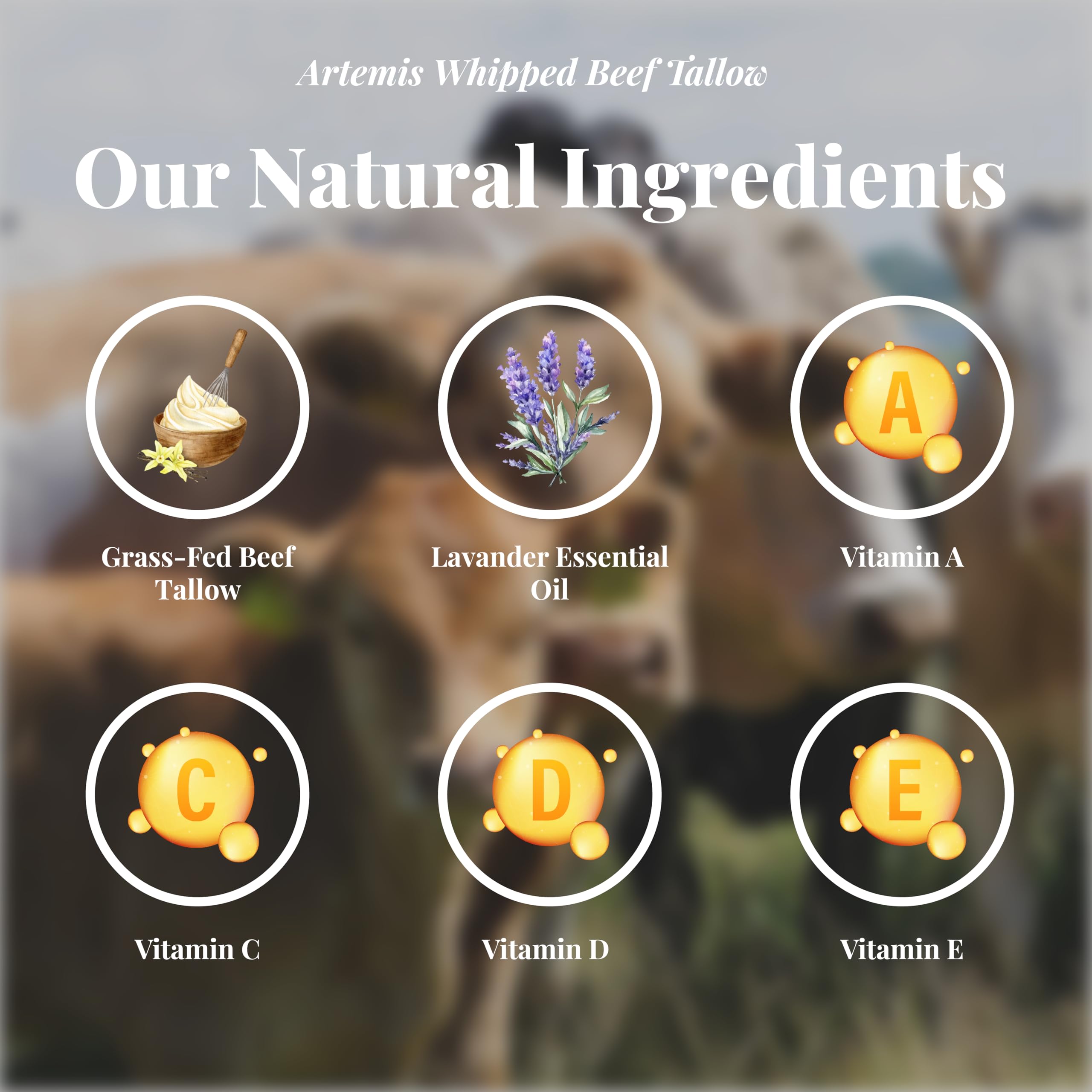 Artemis Beef Tallow Balm for Skin – Grass-Fed Moisturizer, 6 oz