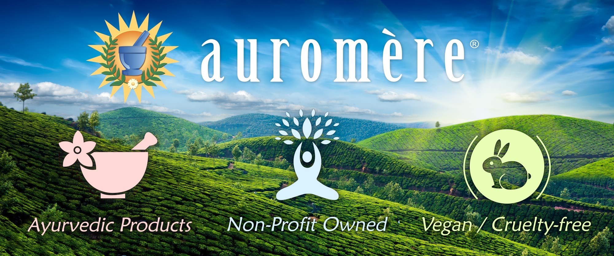 Auromere Ayurvedic Shampoo Bar – Eco-Friendly, Handmade, Vegan & Cruelty-Free (4.23 oz) All-in-One Bar – 5 Pack