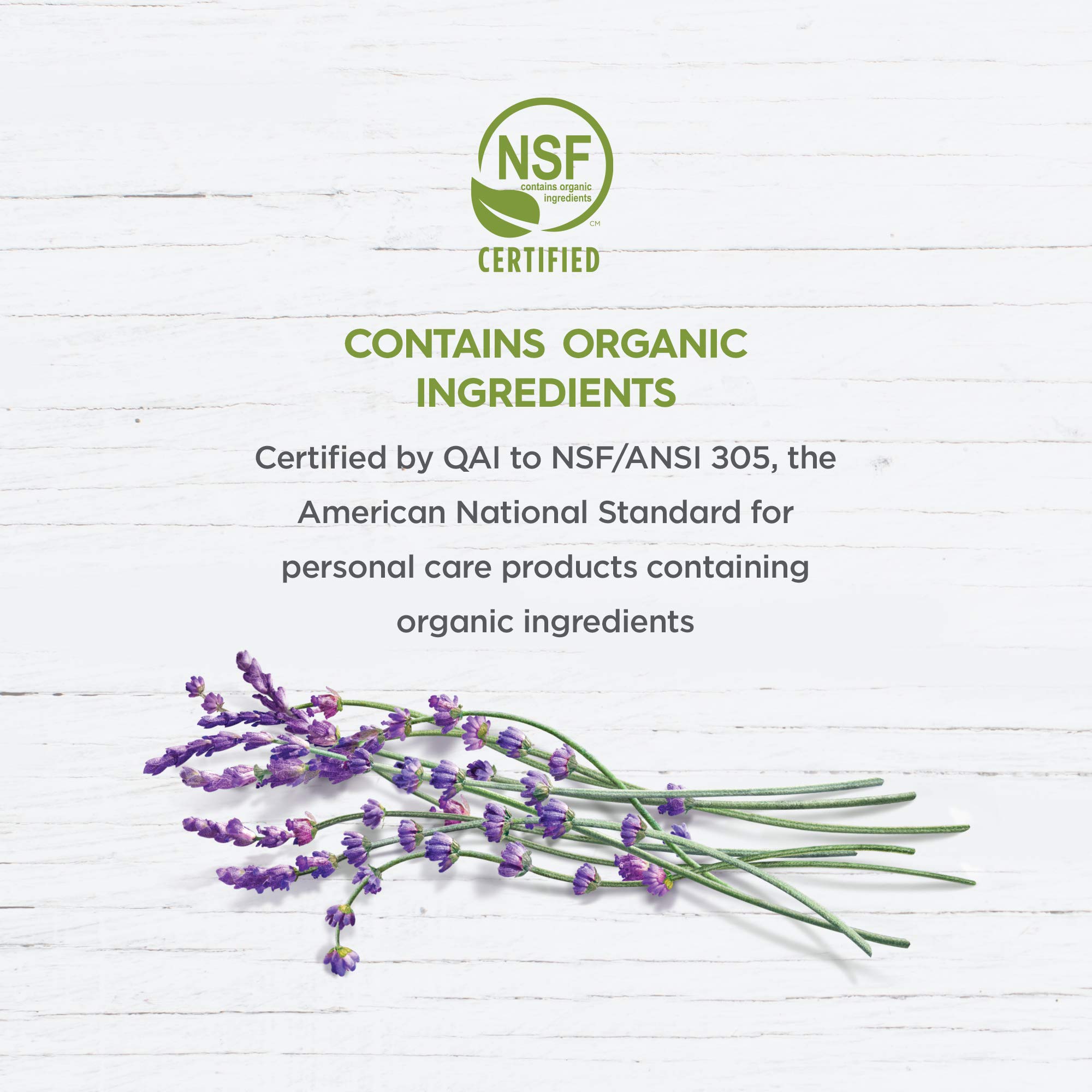 Avalon Organics Nourishing Lavender Lotion – 12 oz, Pack of 2 | Organic & Vegan