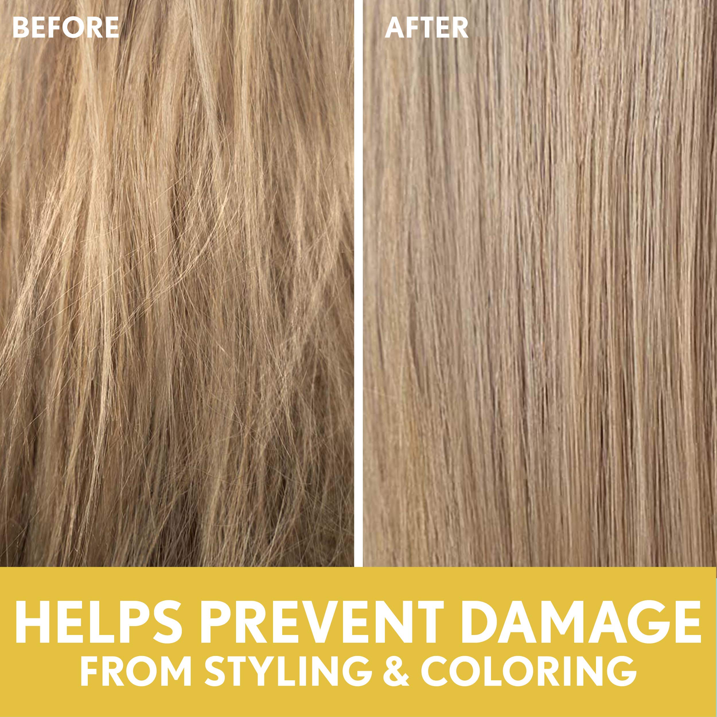 Aveeno Deep Moisturizing Sunflower Oil Blend Shampoo with Oat – Sulfate & Paraben Free for Dry Damaged Hair (12 oz)