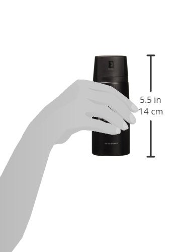 AXE Musk 12-Pack Body Spray Deodorant (150 ml each) – Antiperspirant for Men