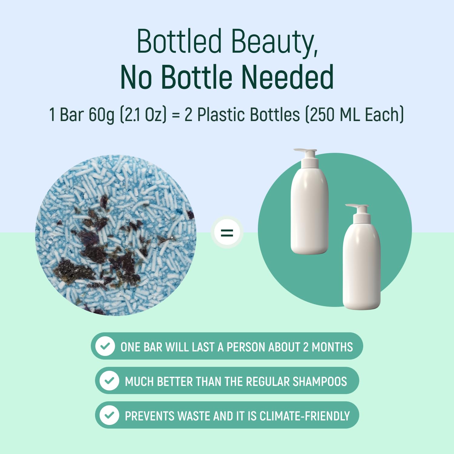 BAMBOEARTH Solid Shampoo Bar & Conditioner – Seaweed Pack (12 Bars) | Eco-Friendly, Zero-Waste