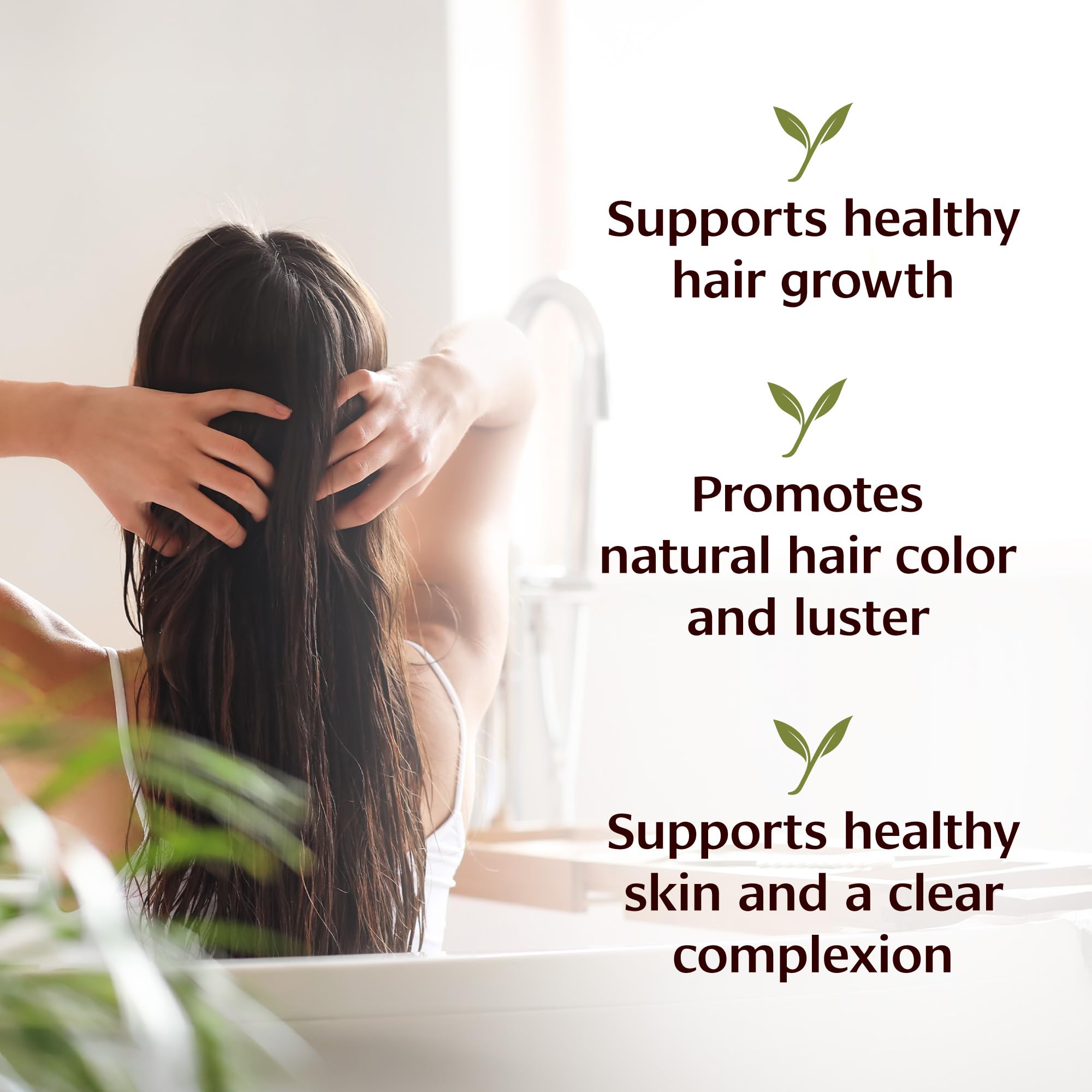 Banyan Botanicals Organic Bhringaraj Oil – Supports Healthy Hair Growth, 8 oz
