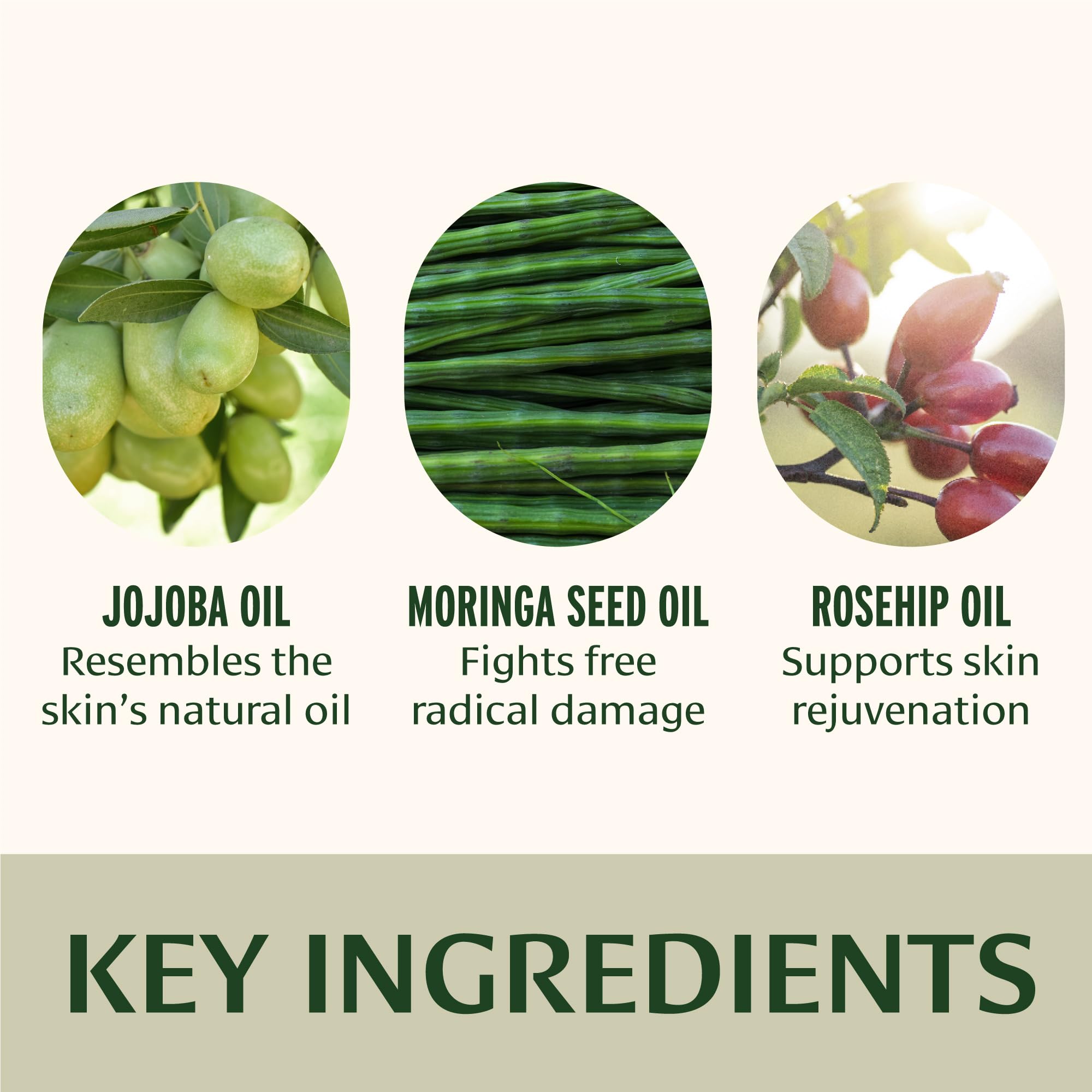 Banyan Botanicals Face Oil – Luxurious Ayurvedic Skincare with Rosehip & Jojoba (0.5 oz)