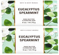 Bath & Body Works Eucalyptus Spearmint Bar Soap - 2 Pack