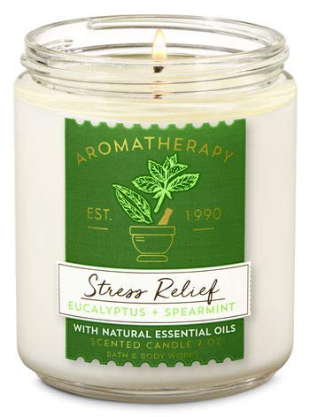 Bath & Body Works Aromatherapy Stress Relief Diffuser Gift Set – Eucalyptus Spearmint