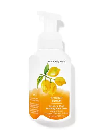 Bath & Body Works Foaming Hand Soaps – Set of 5 Gentle Foaming Hand Soap Scents (Fresh & Fruity)