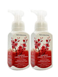 Bath & Body Works Japanese Cherry Blossom Gentle Foaming Hand Soap – 2-Pack