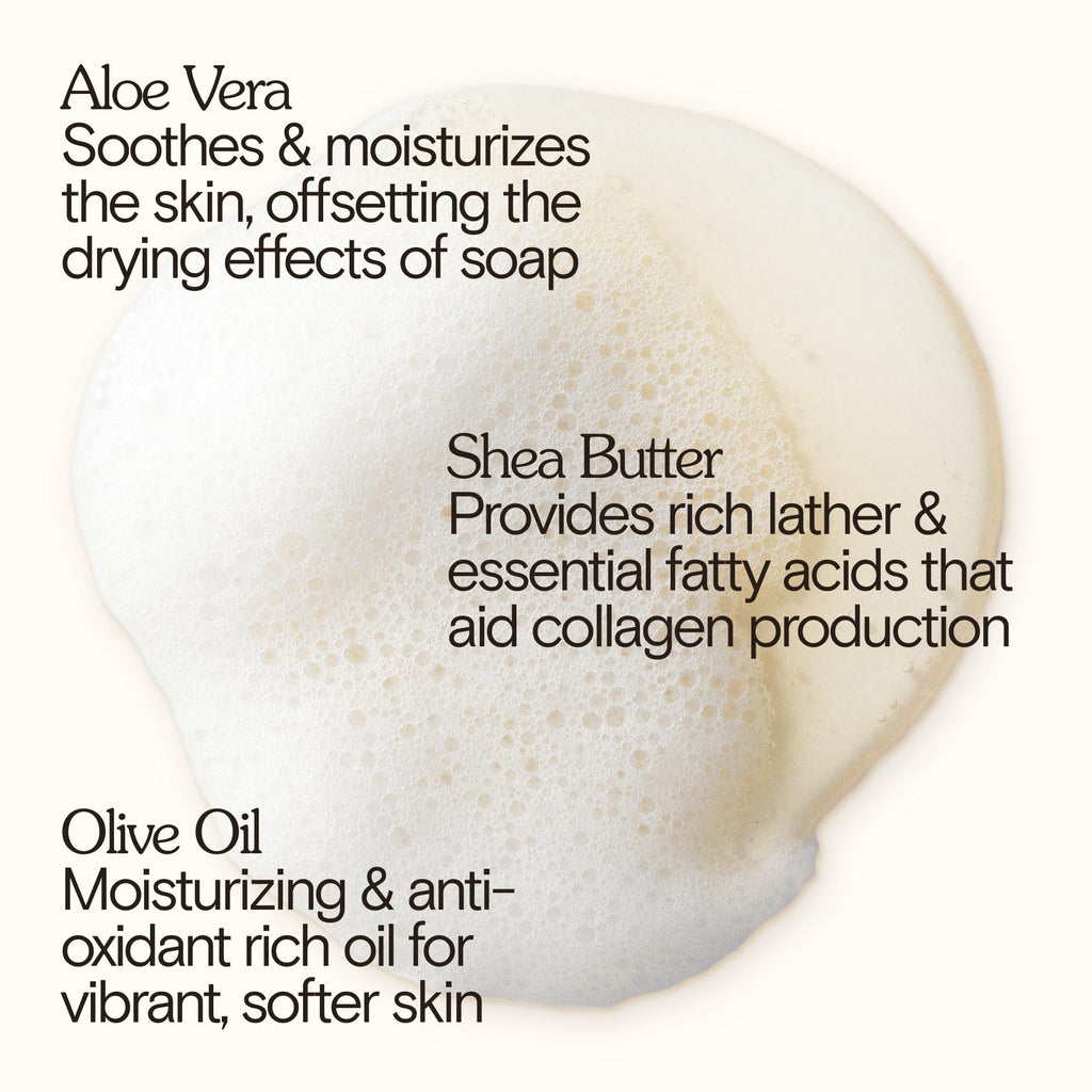 Bathing Culture Organic Mind + Body Wash – Break Water, Cathedral Grove, 16 oz, Vegan & Biodegradable