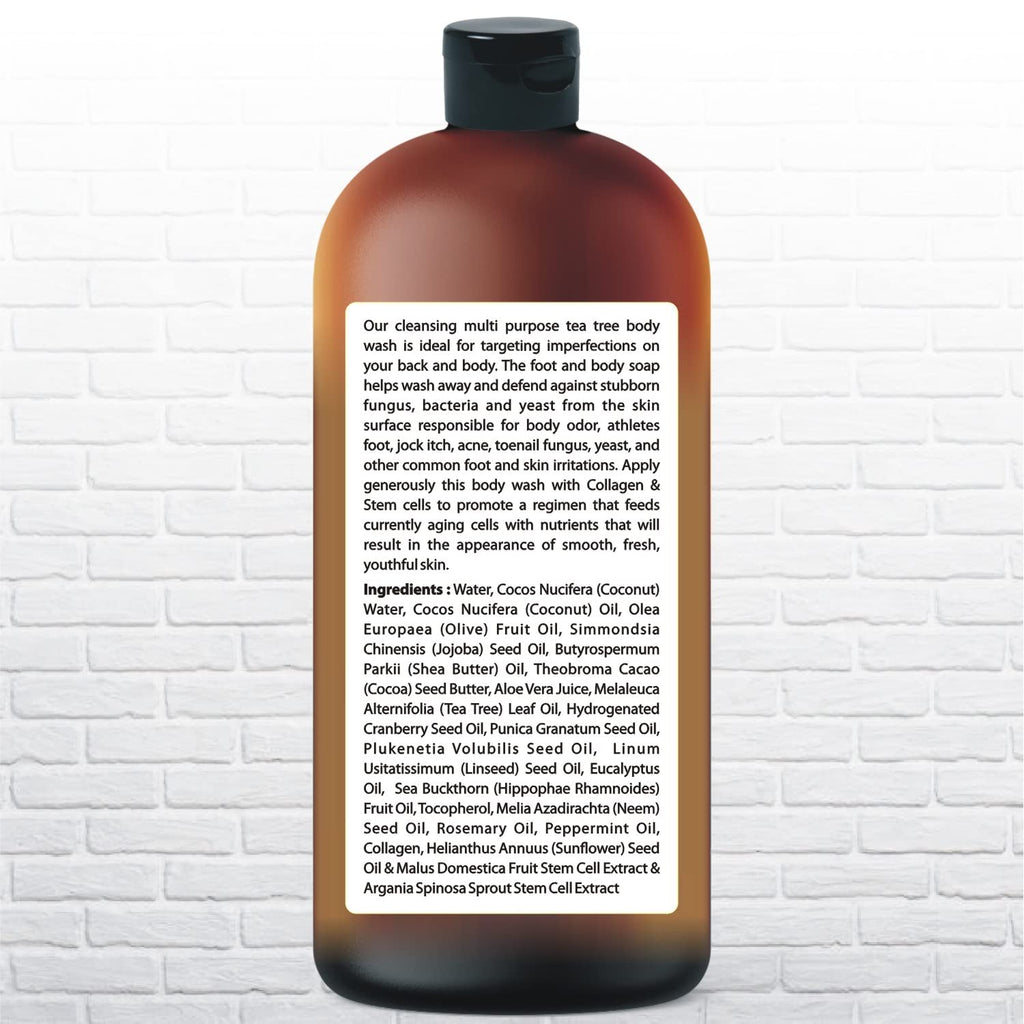 Being Naturals Tea Tree Body Wash – 16.9 oz | Odor, Acne & Skin Support