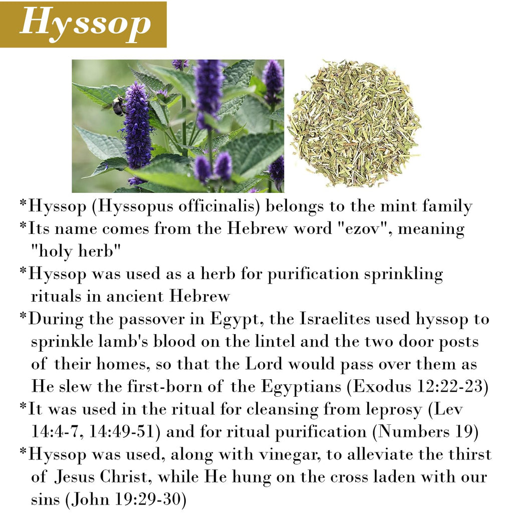 BIBLE N Beautyoils Cleanse Me With Hyssop: Organic Hyssop Hair & Body Wash with Myrrh & Frankincense